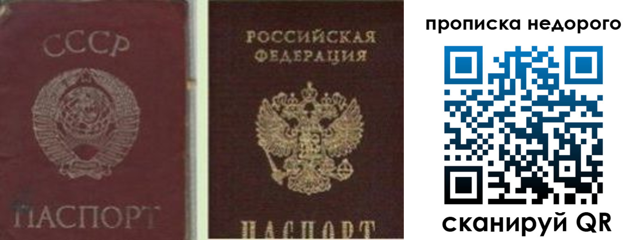временная регистрация поиск в Менделеевске